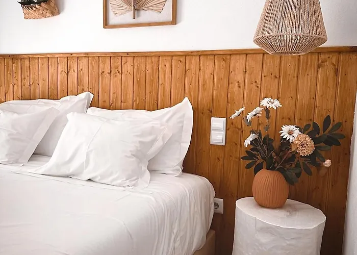 Feriehus Douro Brothers Resende